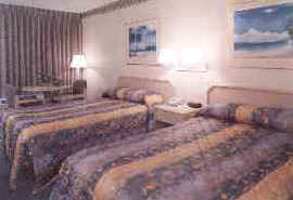 Holiday Inn Express Tampa Room